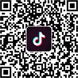 抖音小程序